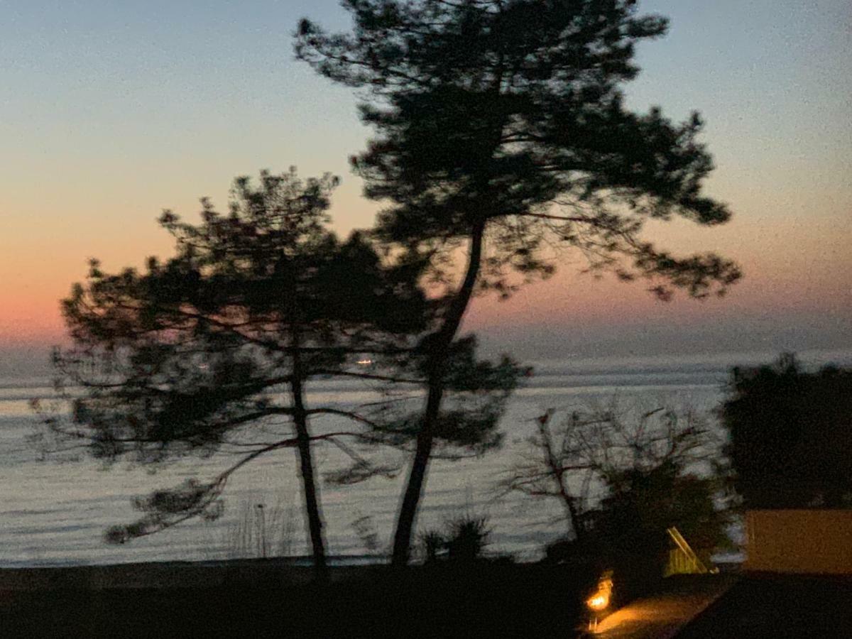 Le Panoramic Apartment Arcachon Bagian luar foto
